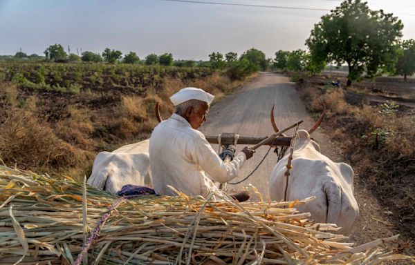 Farmers in India are weary of politicians' lackluster response to their climate-driven water crisis