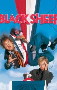 Black Sheep