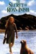 The Secret of Roan Inish