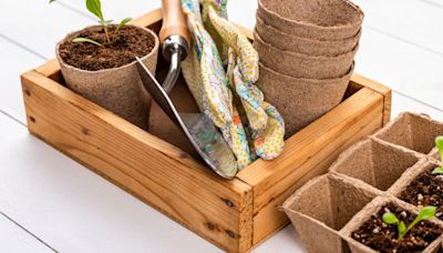 Plastic Free July: How to do your bit in the garden