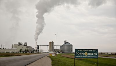 Biden Paves Way for US Corn to Profit From Green Jet Fuel