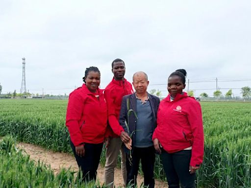 Sci-tech program mirrors deepened Sino-African agricultural cooperation