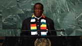 Factbox-Who is Emmerson Mnangagwa, Zimbabwe's 'Crocodile' president?