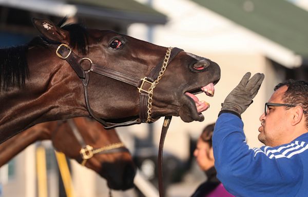 Just a Touch jockey, trainer, odds and more to know about Kentucky Derby 2024 horse