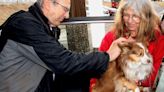 Pet rabies vaccinations urged