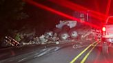 Video: Camión queda despedazado y chofer muere en violento choque en Ruta 32 | Teletica