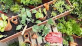 8 Simple Ways to Get Your Garden Ready for Spring Planting