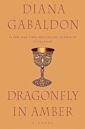 Dragonfly in Amber