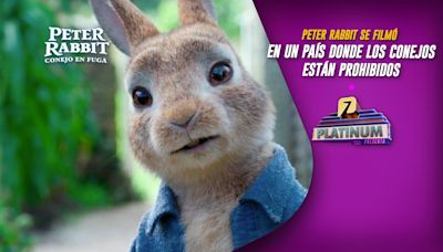 Peter Rabbit se filmó en un país donde los conejos están prohibidos