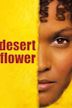 Desert Flower