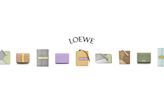 適合春夏的柔美色調：Loewe 小手袋必備的 10+ 最美銀包一次收藏！