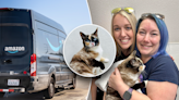 Utah cat accidentally shipped in an Amazon return box, found 650 miles from home by warehouse worker