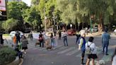 Lomitos bloquean calles de Polanco; sus dueños exigen la reapertura de un parque canino | El Universal