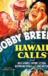 Hawaii Calls