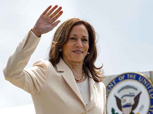 Kamala Harris running mate update as new contender emerges