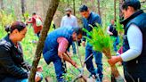 Para reforestación, hay más de 2 millones de plantas: Carlos Torres Piña