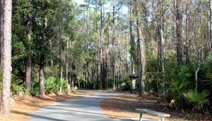 Clay County to offer free guided hikes at Moccasin Slough Park June 1st