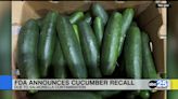 FDA announces cucumber recall in 14 states over potential salmonella contamination - ABC Columbia