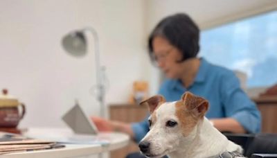 卸任總統滿月蔡英文曬萌犬親子裝 網友驚呼：燙頭髮剪短了