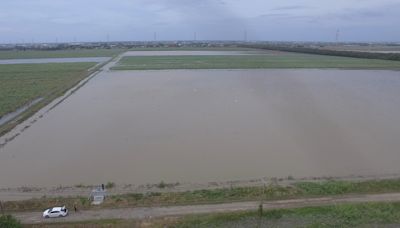 農田滯洪現功效 雲林有才寮排水村落未淹水 (圖)