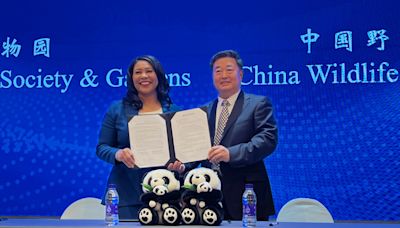 San Francisco mayor announces the city will receive pandas from China