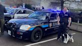 Vintage police cars pull crowds at Coleford Carnival of Transport