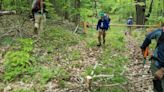 Forest gnomes or worker bees? The Trailwrights repair the hiking landscape