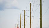 Shortage of wooden hydro poles threatens reliability of grid, say electricity producers