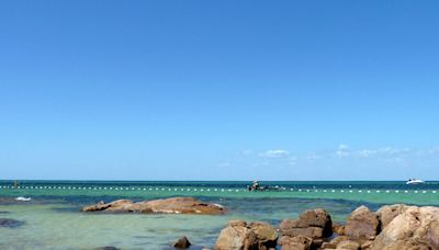 Un joven en estado crítico por un ataque de tiburón en una playa del noreste de Australia