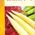 紅鬚 玉米筍【蔬果種子】 興農牌 中包裝種子 每包約8公克 全年可播種
