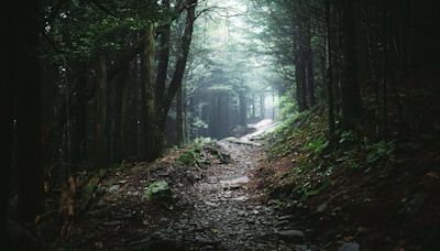 Hurricane Helene Damaged the Appalachian Trail, But It’s Not As Bad As a Viral Video Suggests