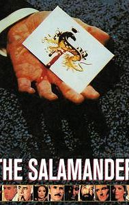 The Salamander (1981 film)