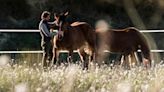 Día del animal: por qué se celebra hoy y qué beneficios aporta tener contacto con ellos