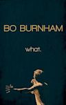 Bo Burnham: what.