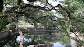 Brackenridge Park projects to be subject to nature-first analysis