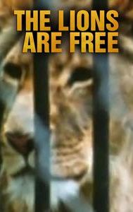 The Lions Are Free