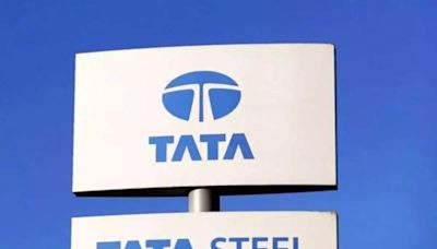 Gender minorities, marginalised groups to comprise 25% of Tata Steel workforce: Official