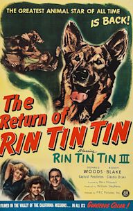 The Return of Rin Tin Tin