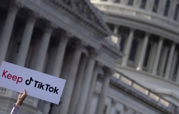 As TikTok sues to stop potential ban, Steven Mnuchin warns legal fight may prevent him from buying the app