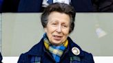 Princess Anne's Health Crisis: Tireless Royal's Engagements Canceled Again Due to Injury From Mysterious Horse 'Incident'