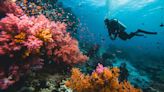 Científicos descubrieron una nueva especie en las profundidades del océano Índico