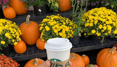 When is Starbucks bringing back the Pumpkin Spice Latte? Here’s what we know so far