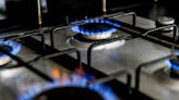 Gas and propane stoves linked to 50,000 cases of childhood asthma, study finds