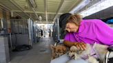 Initiatives from Mayor’s Fund brings hope to homeless pet owners in Las Vegas