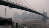 Body found floating under Brooklyn Bridge: officials