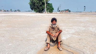 The Tribune’s deep dive into the power crisis in the state — Part II : Big vs small Punjab farmers & trauma of free power