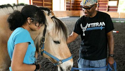 Horses at High & Mighty help vets heal after serving