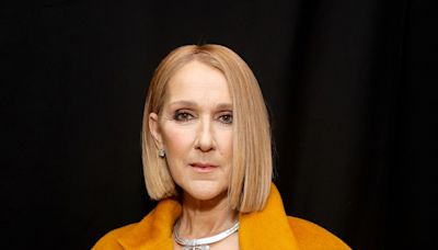 Song unerlaubt genutzt: Céline Dion mit Seitenhieb gegen Donald Trump