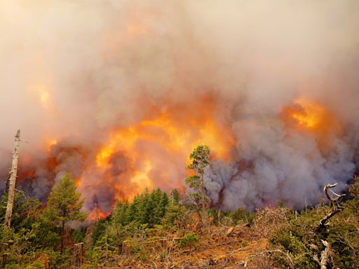 Park Fire updates: Shasta County Supervisors declare an emergency for Park Fire