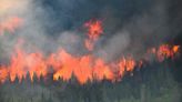 Canada's 2023 wildfires burned huge chunks of forest, spewing far more heat-trapping gas than India